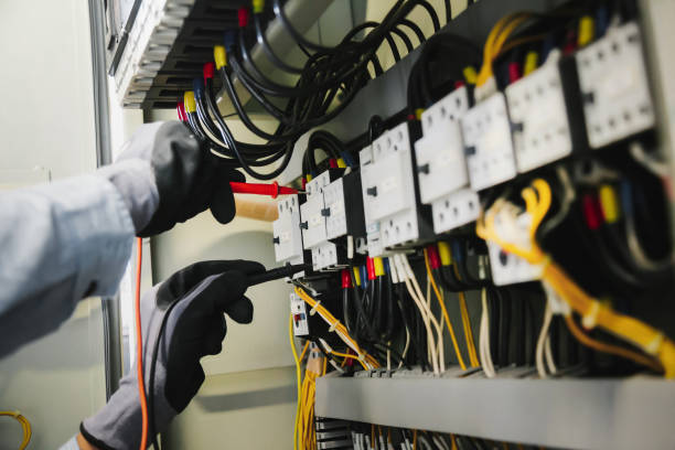 Best Electrical Panel Upgrades  in Fox Lake, IL